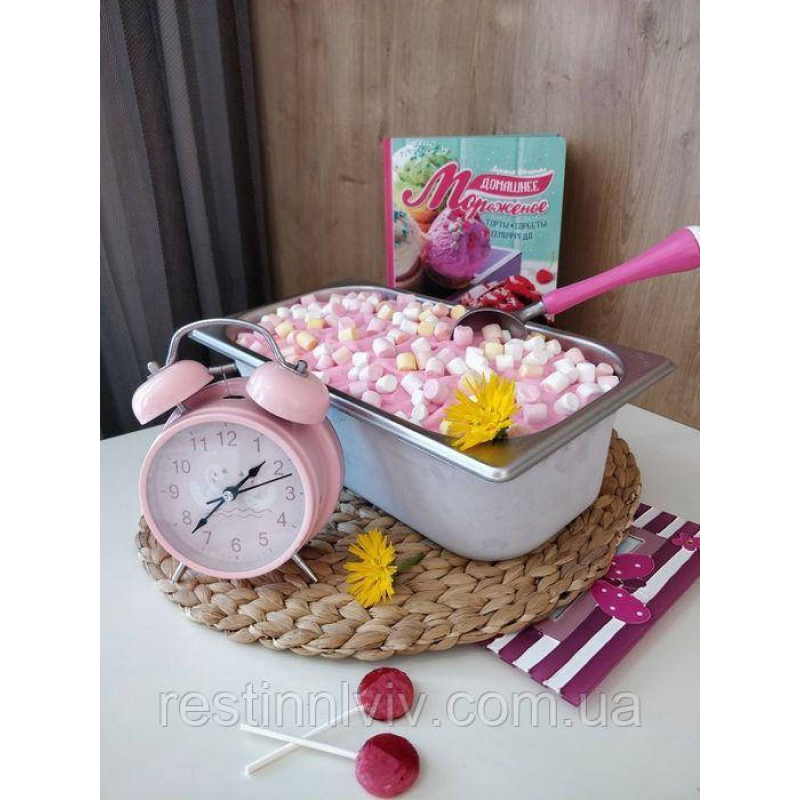 Контейнер для морозива Brillis ICE Cream